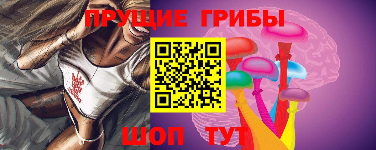 Мценск  Псилоцибиновые грибы мицелий  Вход с VPN 