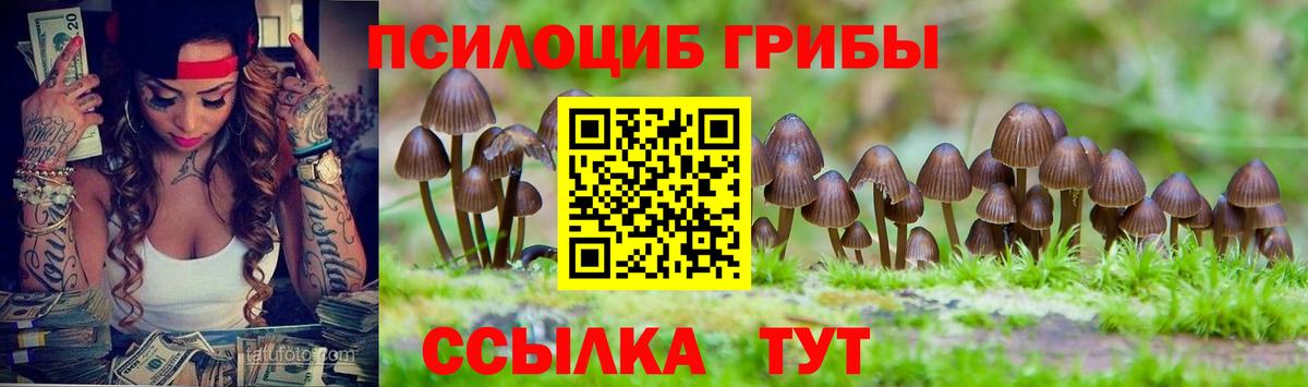 Псилоцибиновые грибы мицелий Мценск